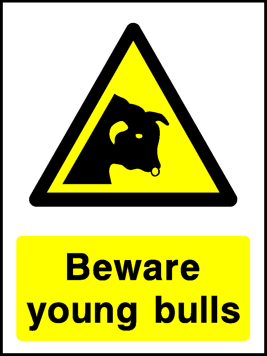 Beware Young Bulls Countryside & Agriculture Signage - COUN0018