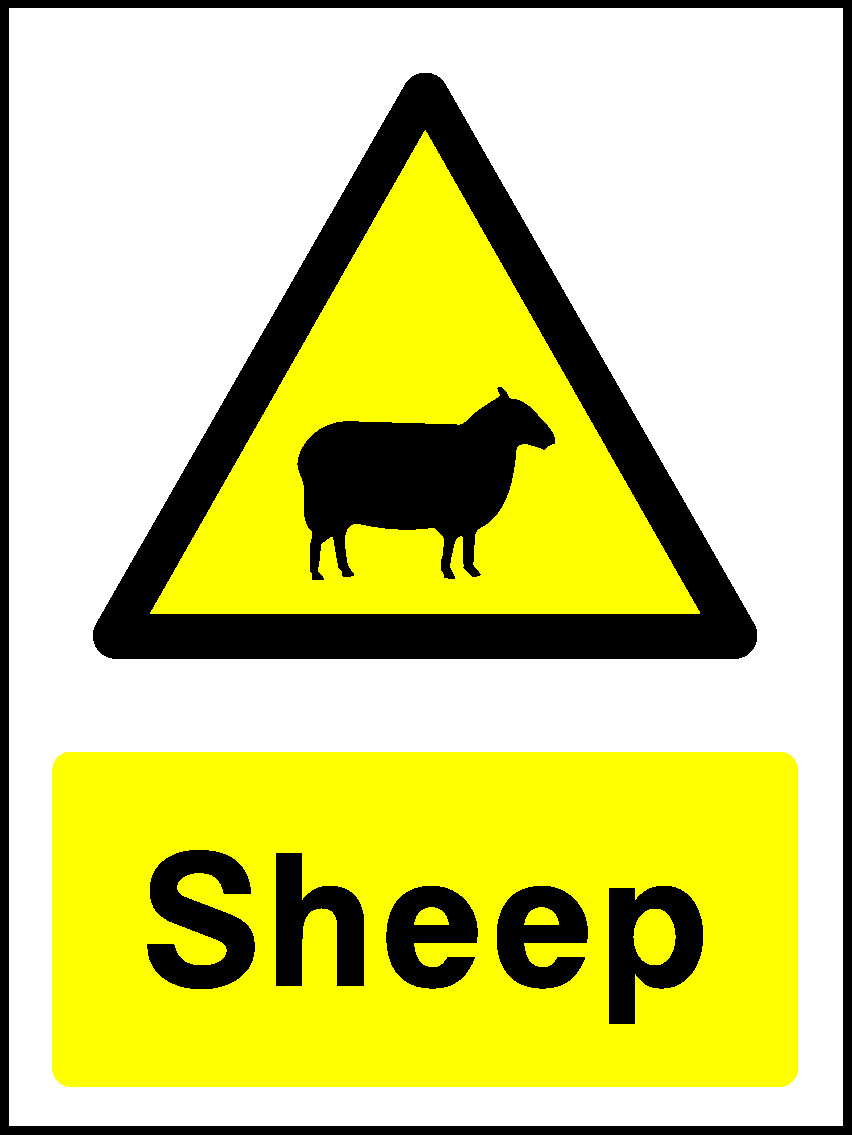 Sheep Countryside & Agriculture Signage - COUN0011